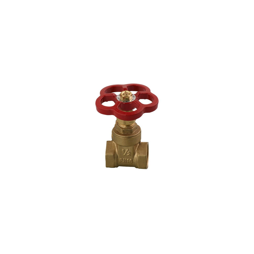 060513xl-XL.jpg 22025-valvula-de-compuerta-esclusa-estandar-12quot_imagen-producto-xl_10-30