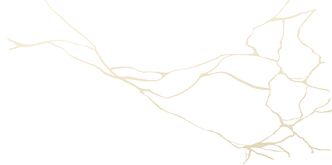 Lines 2
