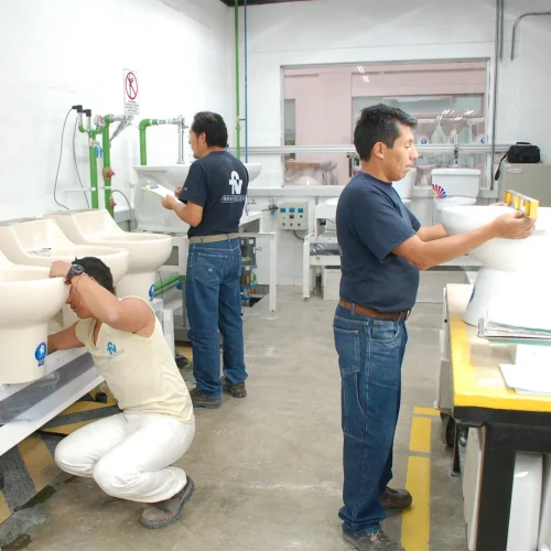Pruebas de Resistencia: El Sanitario que Resiste el Tiempo